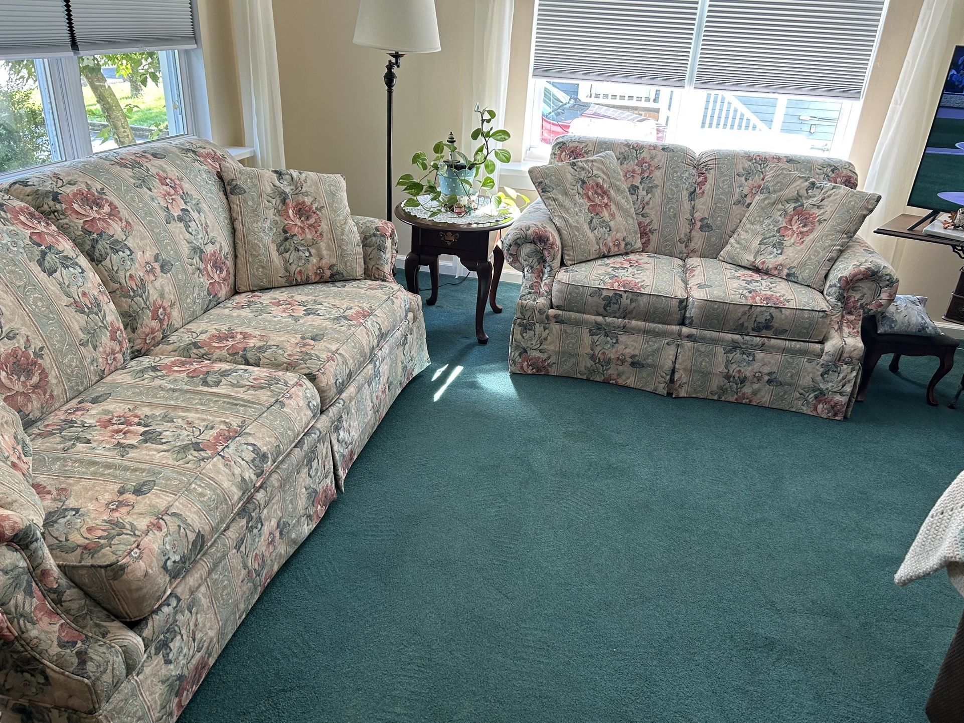 FREE Sleeper Sofa And Loveseat Great Condition!