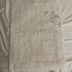 Bathroom Rug 17” x 24”