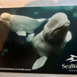 SEA WORLD ADULT TICKET 