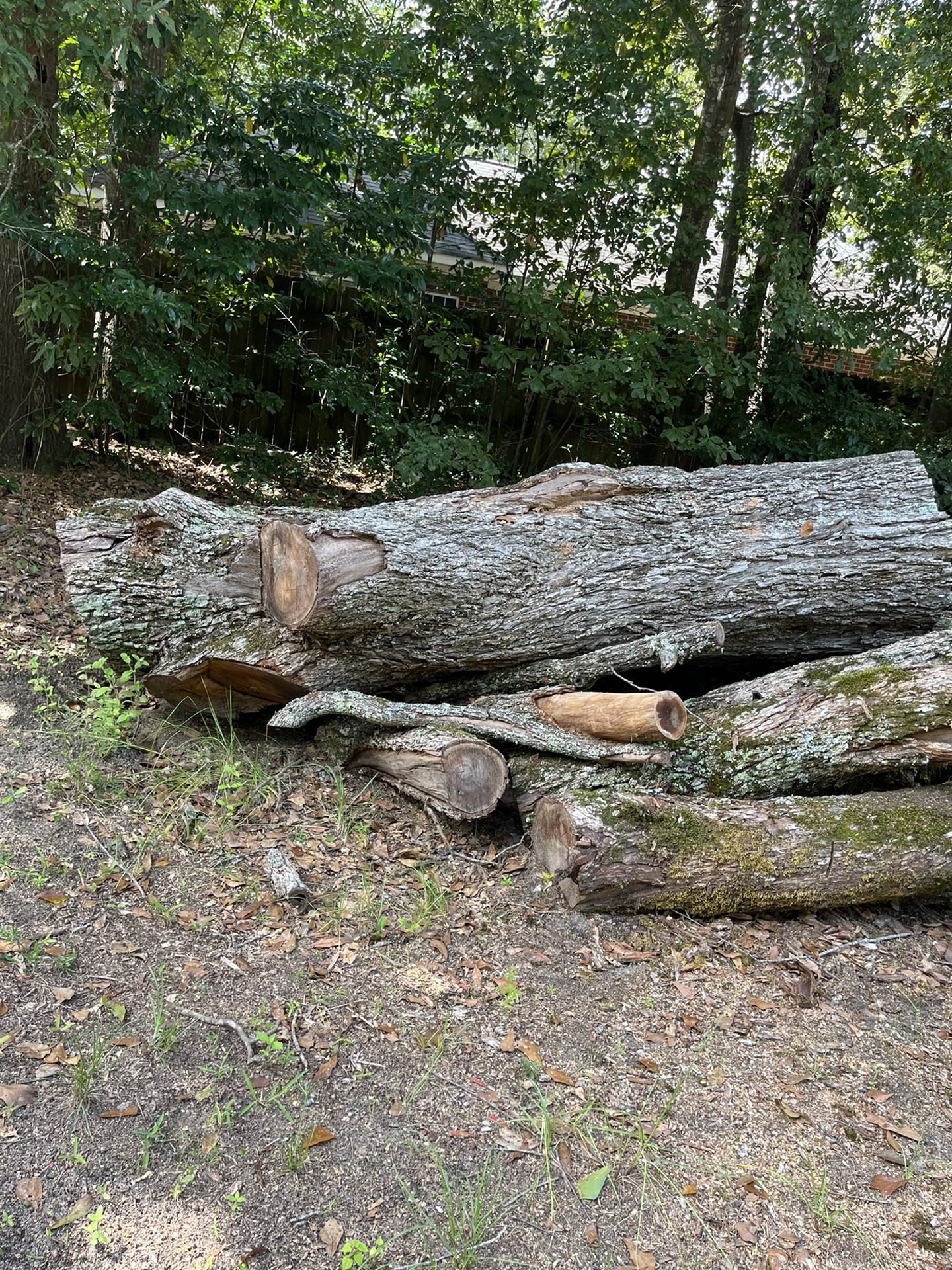 🔥🪵 Veteran Shawn’s Firewood 🪵 🔥
