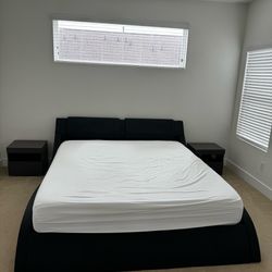 Modern King Bed Frame