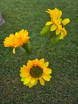 2 boxes of Solar sunflowers