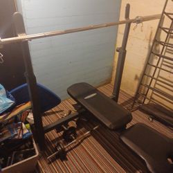 Impex Competitor Weight Bench