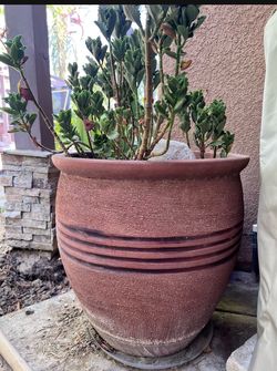 5 large clay pots