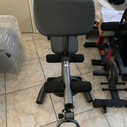 Preacher Bar + Leg Lift 