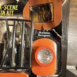 Halloween Accessories 