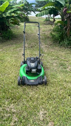 Long boy, self-propelled lawnmower