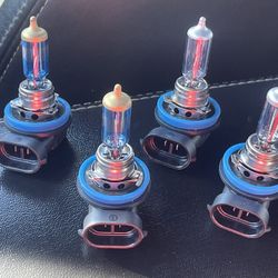 H11 Headlamp Bulbs!!