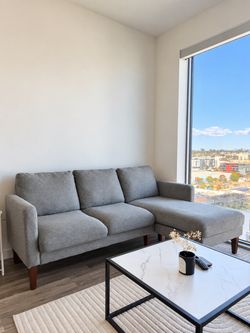 Grey Sectional Couch With Chaise
