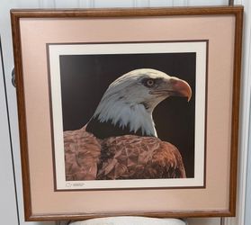 Majestic Wildlife Art: Framed Bald Eagle Portrait (23"x23")