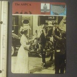 Panarizon 1980 The Aspca Protecting Man's Best Friend Hats For Horses Large Over-sized Card Collectible Vintage Italy