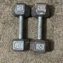 15lb Dumbbell 