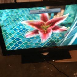 Television 42”