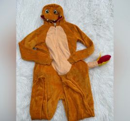 Adults charzard costume