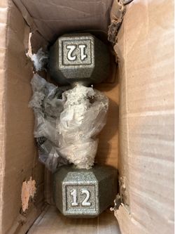 Set of 2 brand new 12-lb dumbbells