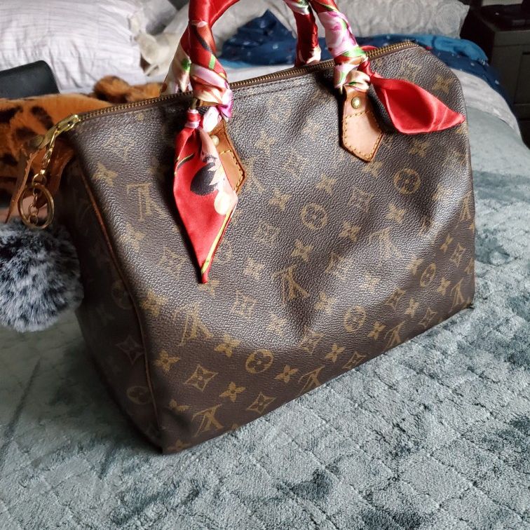 Louis Vuitton Authentic Speedy 25 for Sale in Streamwood, IL - OfferUp