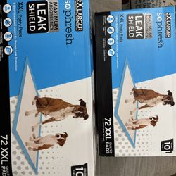 Dog Absorbent Pads + Free Bonus
