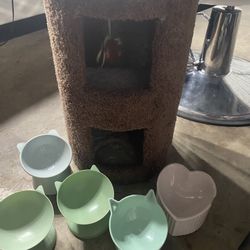 Cat tree and bowls