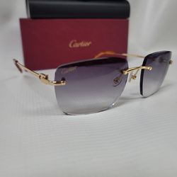 Cartier Small C wires Sunglasses 👓