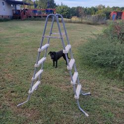 For The Pool We Have 1 Brand-new In The Box  And It Is$50.00 2used Ones That Are $20.00 Each