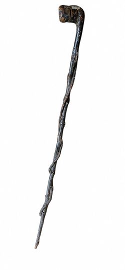 Walking stick cane
