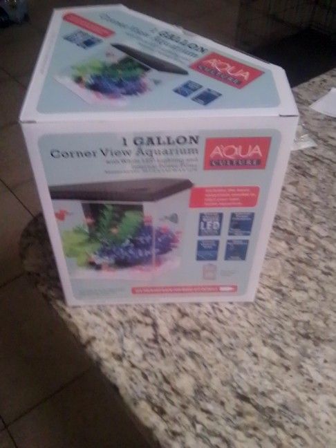 1 Gallon Aquarium