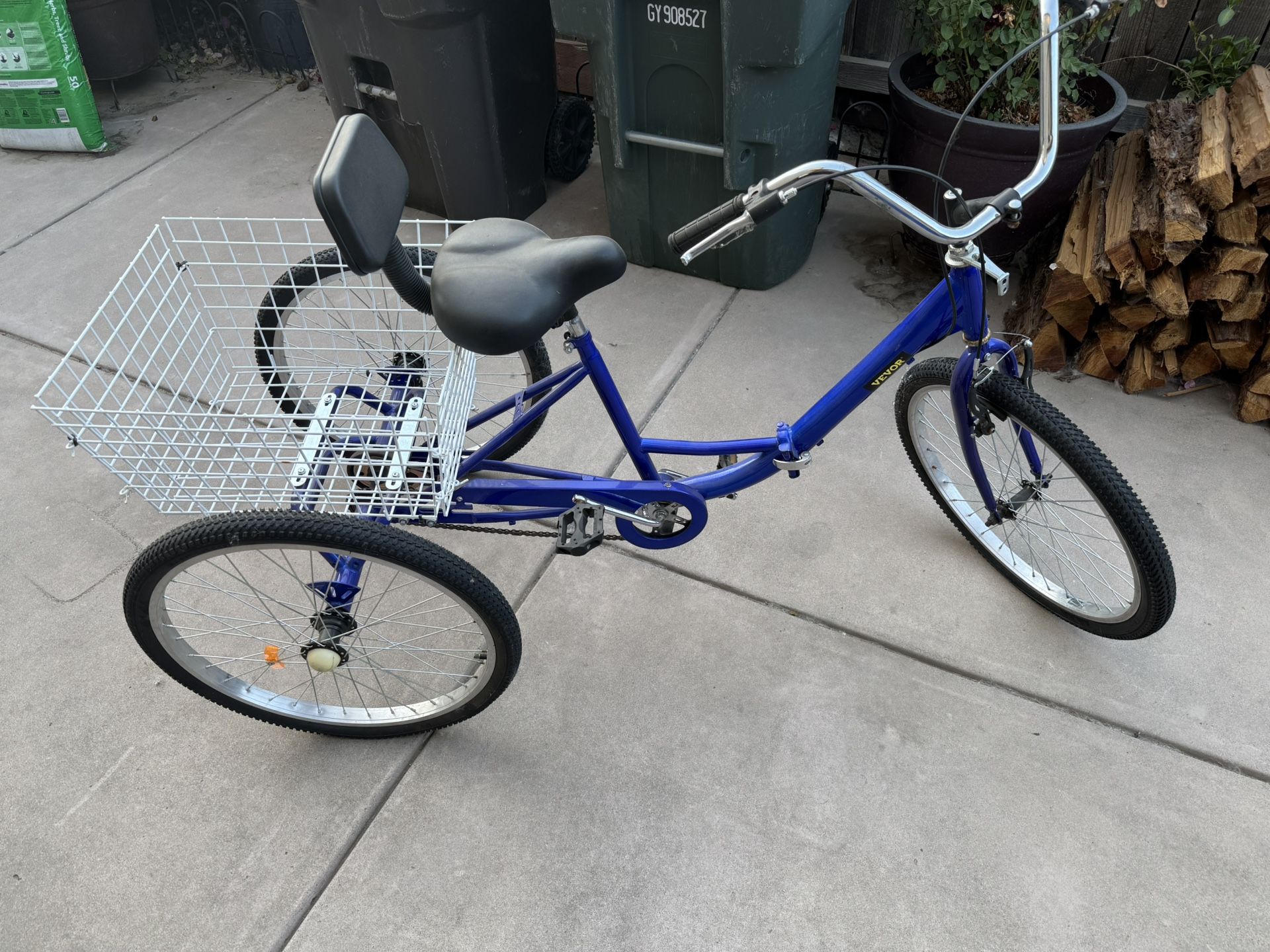 Adult Tricycle