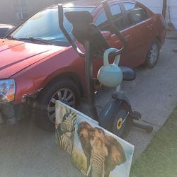 Garage Sale/XL Bullies For Rehoming Come On Out