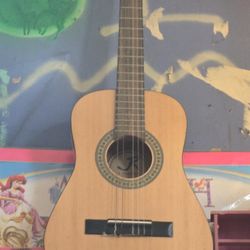 Acoustic Guitar 