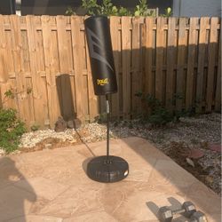 Everlast Punching Bag