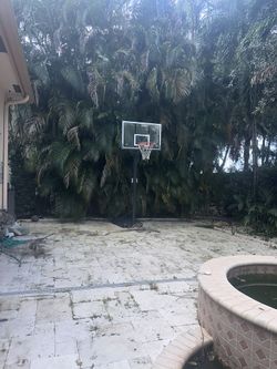 Basketball Hoop