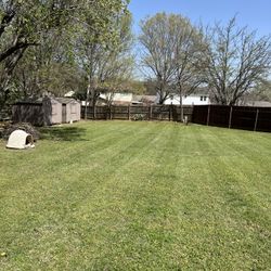 Lawn And Landscape 
