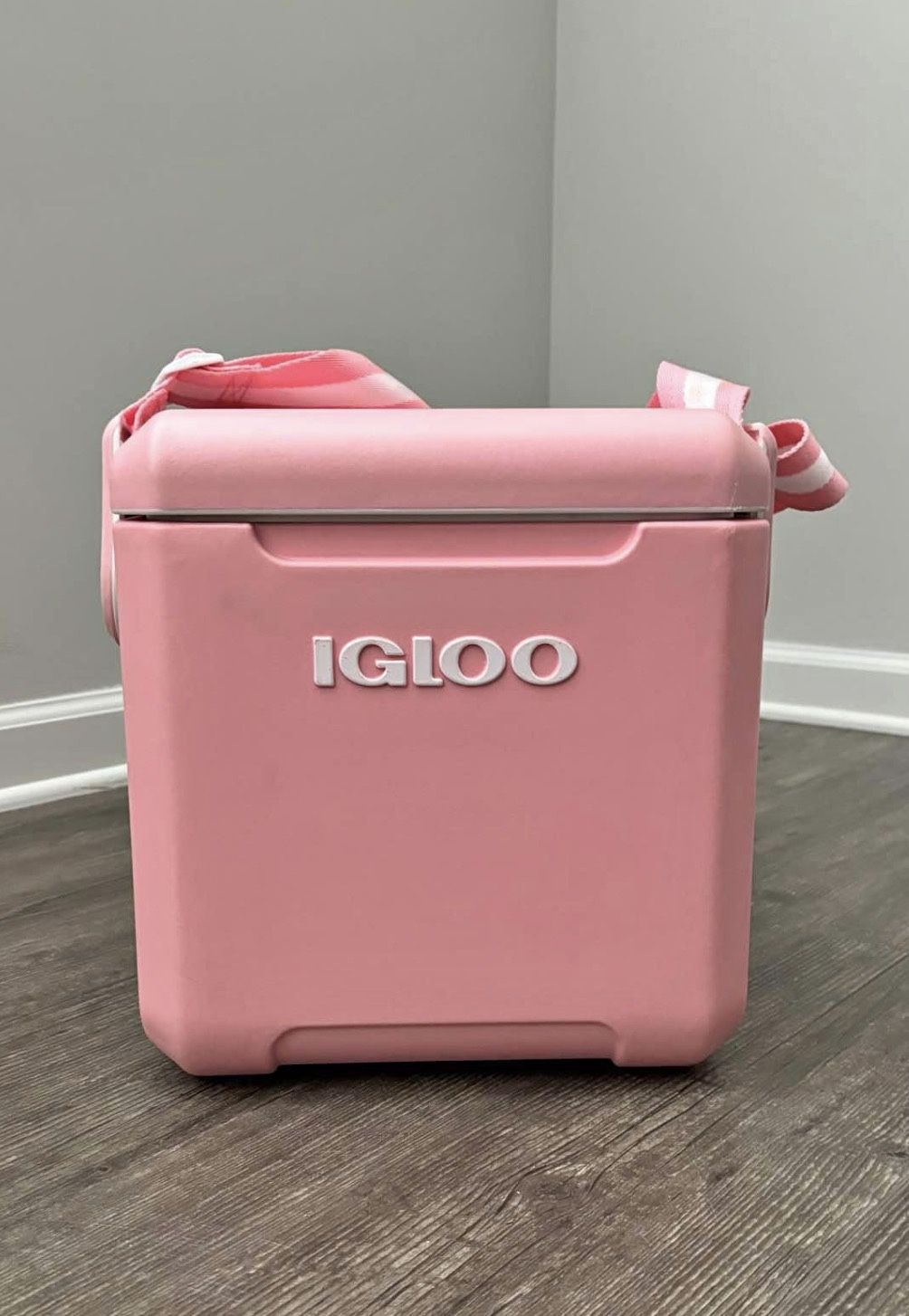 Igloo Cooler
