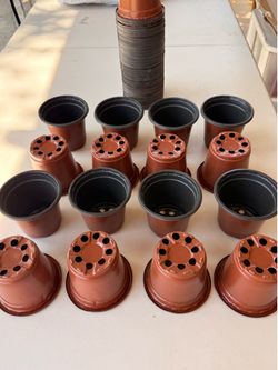 Pots macetas