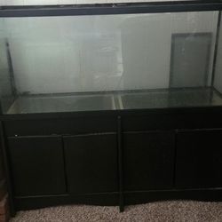 55 Gallon Fish Tank With Stand