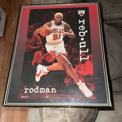 Framed Dennis Rodman Bulls Picture