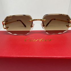 Cartier Sunglasses