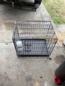 Kennel
