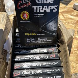 Mouse Tramps 