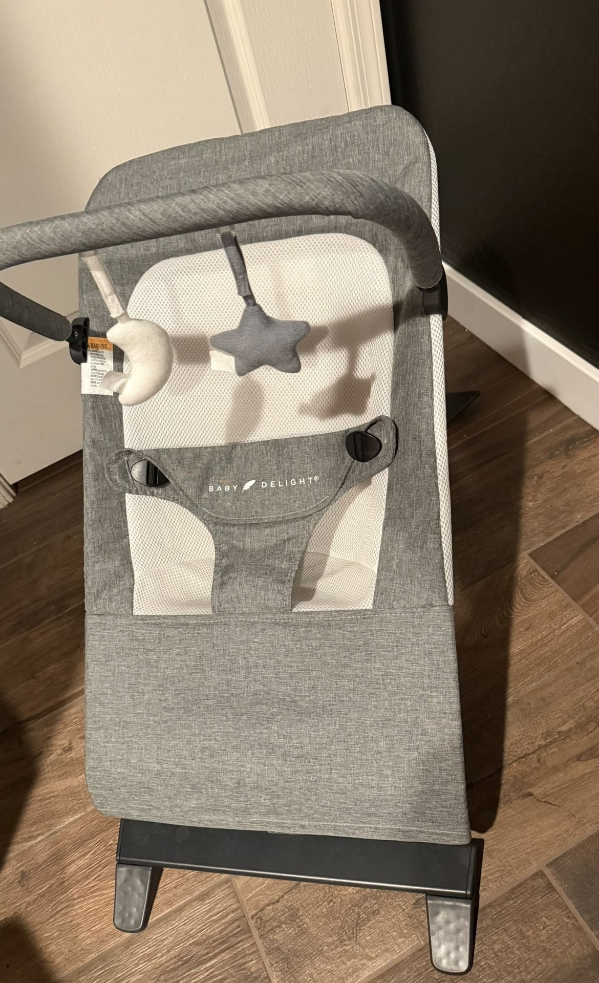 Baby Delight Bouncer