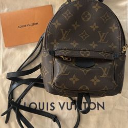 Louis Vuitton Palm Springs NV Mini Bag