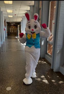 Easter bunny costume