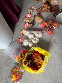Fall/Harvest Items