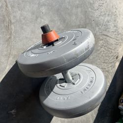 Set Of Two 30 Lb Dumbbells 