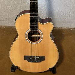 Oscar Schmidt Bass Acoustic-Electric 