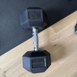 Rogue Dumbbells