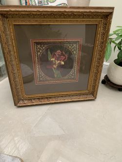 Framed Art