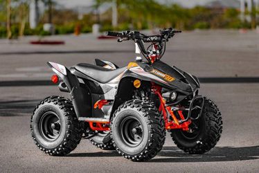 2026 Kayo Fox / Storm 70