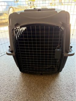 Large Gray Plastic Dog Crate Kennel 20”Wx21”Hx28”D with Metal Wire Door