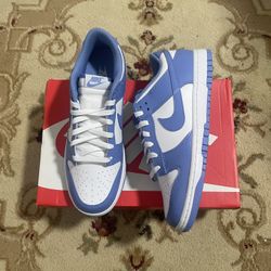Nike Dunk Polar Blue Size 10